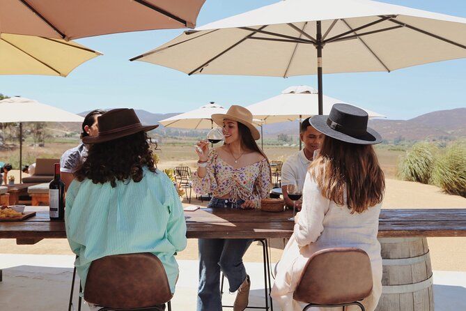 Tasting of 5 wines and tour at the winery Rondo del Valle