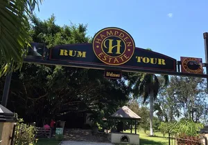 Hampden Estate Rum Tour and Lunch from Montego Bay