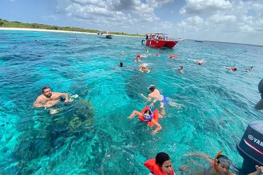 Catalina Island and Snorkeling - Full-day Trip