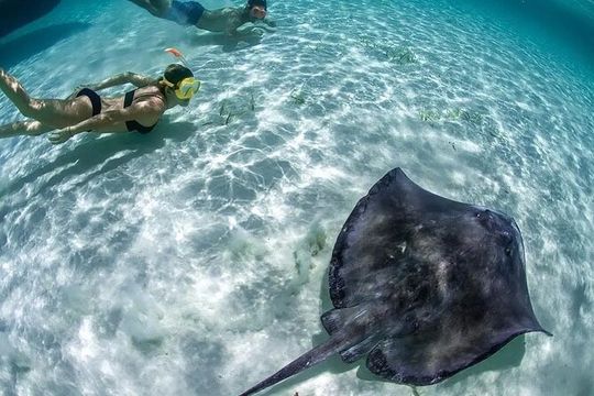Isla Mujeres: Coral Reef Views from a Clear Boat