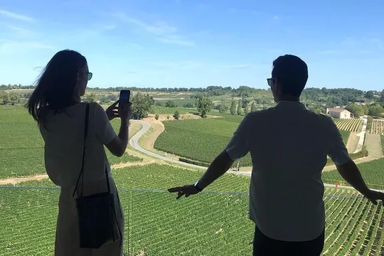 The Great Sauternes Wine Tour