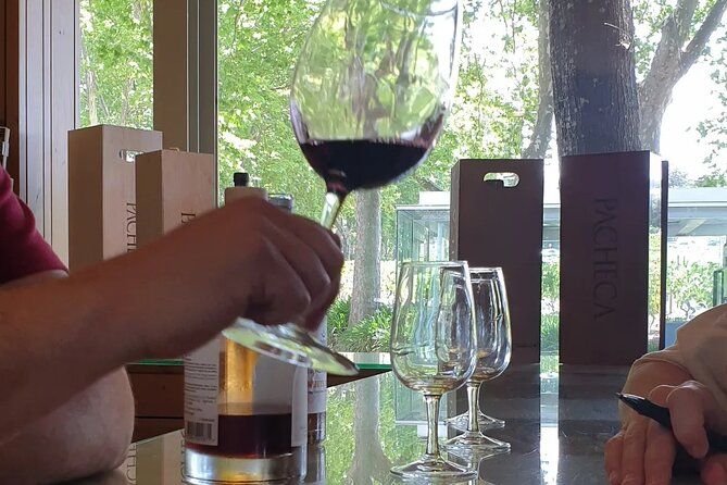 Douro Valley Tour Wine and breathtaking views