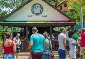 Bob Marley 9 Mile Tour Admission