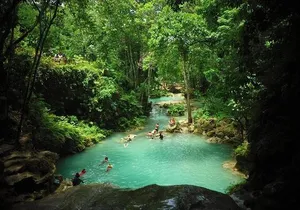 Chuck Norris Secret Falls and Dunn's River Falls