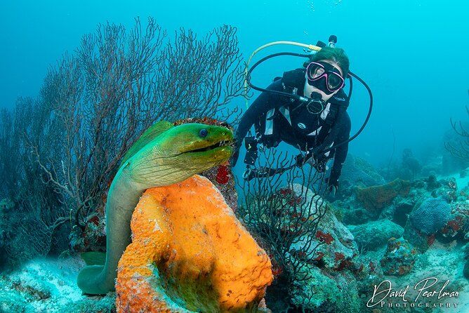 Aruba One or Two Tank Scuba Dive