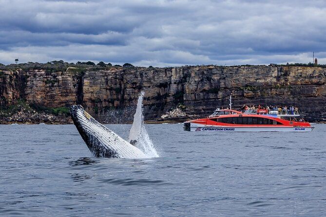 Whale Watching & Hop On Hop Off Sydney Harbour Explorer Cruise