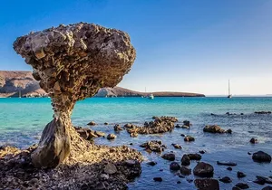La Paz, Balandra and Todos Santos from CABO and San Jose