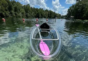 Private Crystal Clear 2 HR Kayak/Paddle Rental on Rainbow River