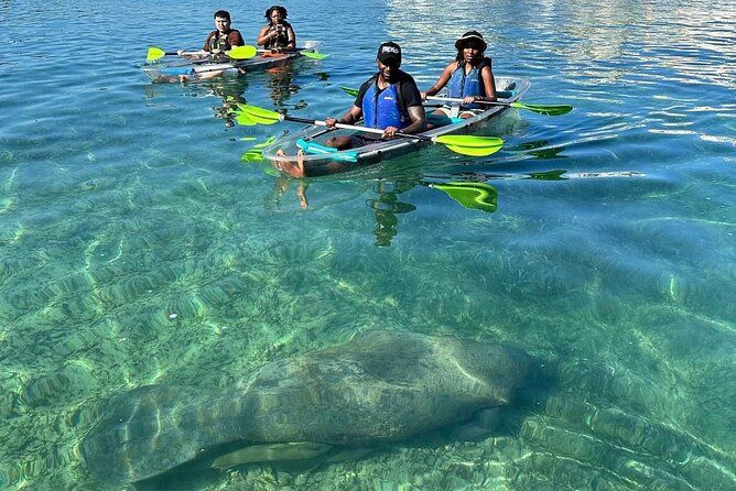 Clear Kayak Tour in Condado Lagoon