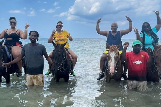 Dunns River Falls and Horseback Riding Tour from Montego Bay