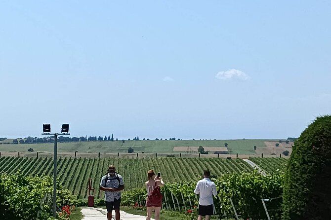 Thessaloniki Wine Journey to an Iconic Winery (Cruise Friendly)