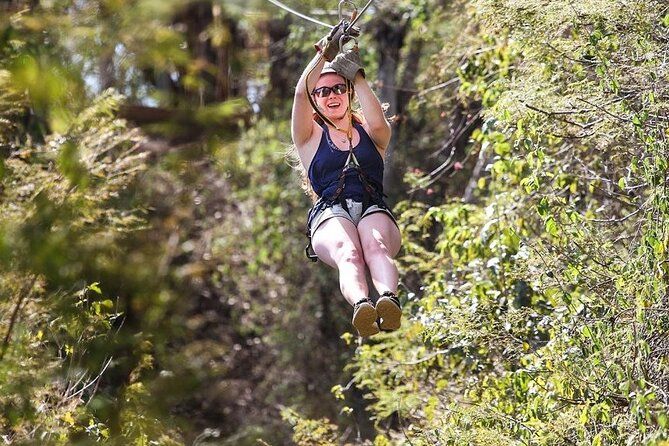 Ziplines and Visit to La Vinata Los Osuna