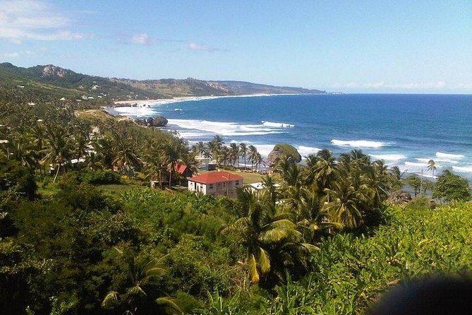 Private Customized Island Tour of Barbados
