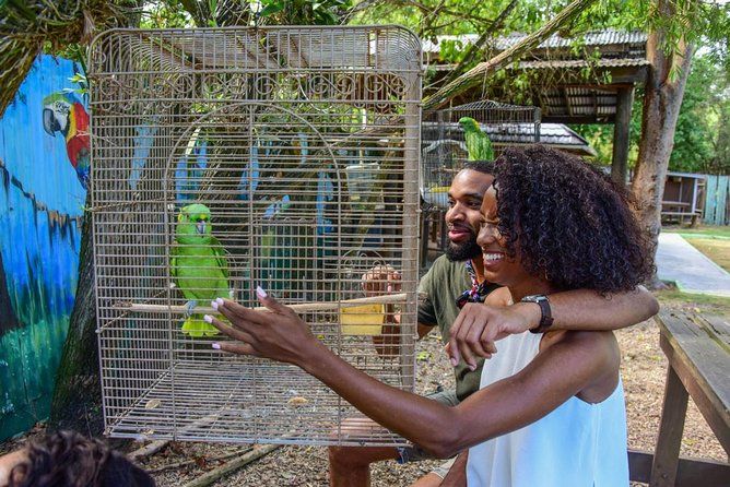Rockland Bird Sanctuary plus Montego Bay Highlights & Shopping Private Tour