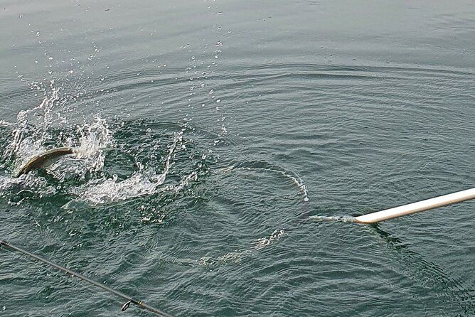 Fishing Tour with a Fishing Boat at Lake Constance (Untersee)
