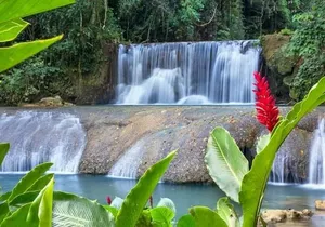 YS Falls, Black River and Pelican Bar Tour from Negril