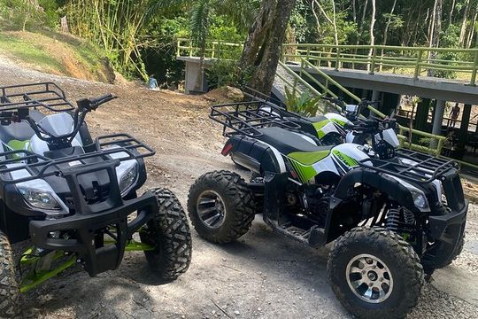 Skip the line Atv, Horse Back Riding and Zipline from Montegobay