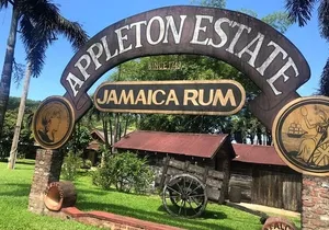 Appleton Estate Rum Factory And YS Falls Inclusive Tours From Montego Bay