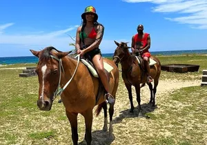 Horseback Ride and Swim Guided Tour from Montego Bay