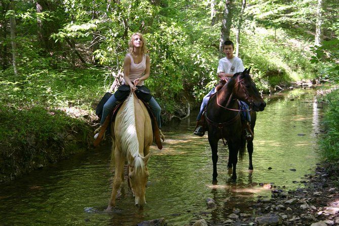 Horse Riding Experience in Marmaris with Transfer