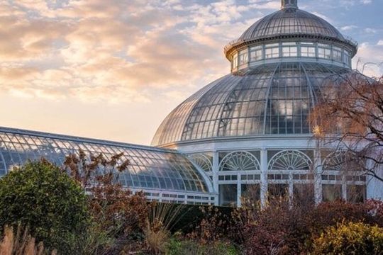 New York City Central Park Walking Tour with a Guide