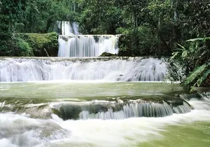 Private YS Falls and Black River Safari from Falmouth