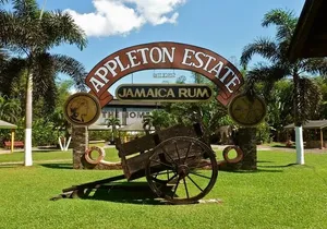 Appleton Estate Rum Private Tour