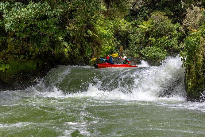Tauranga Shore Excursion: Rotorua Highlights