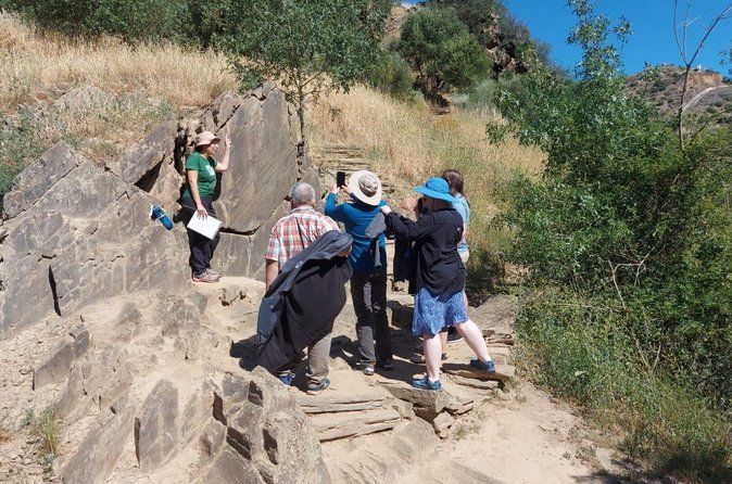 Private Douro Valley & Foz Côa Tour with Rock Art and Pinhão