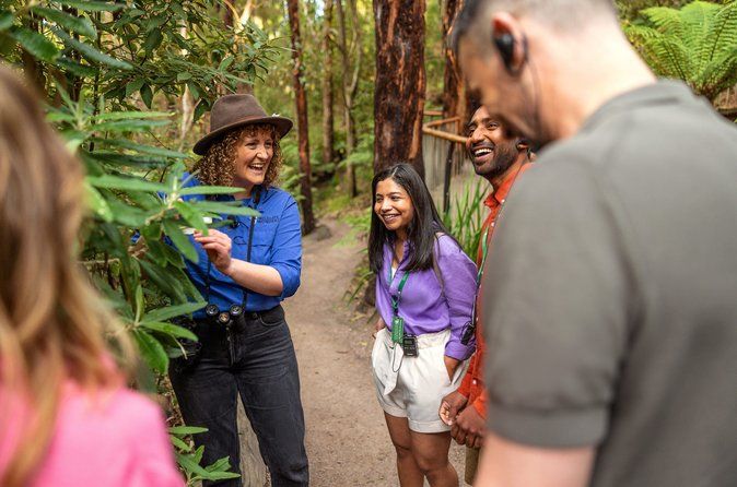 Walk with Wildlife: Guided Tour in Great Ocean Road