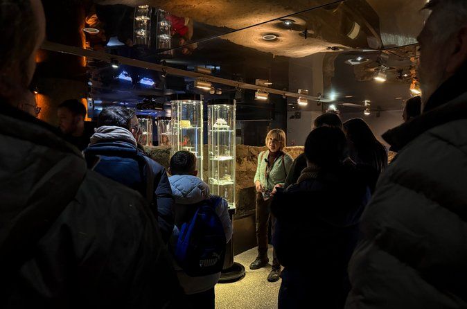 Small-group Rynek Underground Museum Guided Tour in Krakow