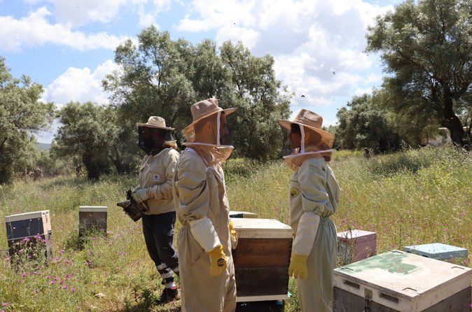 Melissini Beekeeping Experience