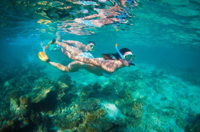 6-Day Coral Coaster from Perth to Exmouth One-Way via Monkey Mia Ningaloo Reef