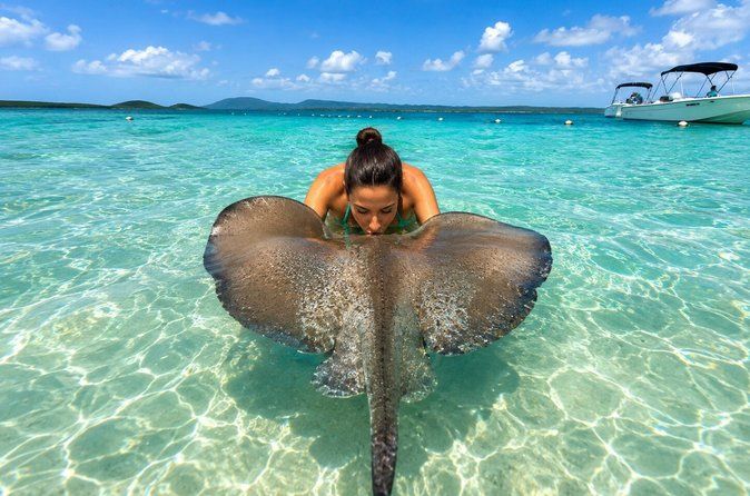 Antigua Stingray Experience with Hotel Pickup & Local Guide