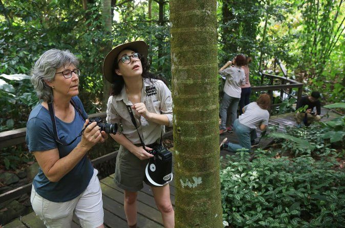 2-hour Nature and Wildlife Walk in the Cairns Botanic Gardens
