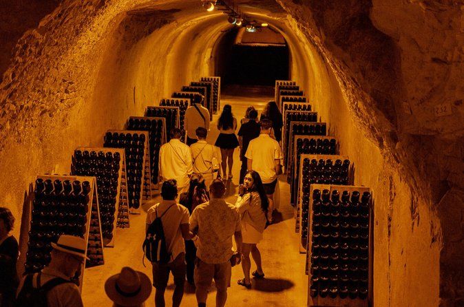 Private Trip: Tour in Epernay & Champagne Tastings from Paris