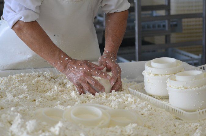 Private Lisbon Cheese Factory, Wine Tasting & Tile Painting Tour