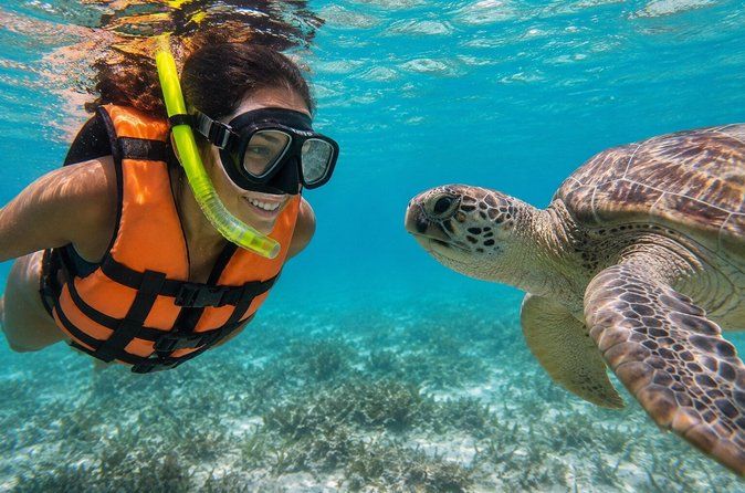 Swim with sea turtles & discover hidden cenotes like a local