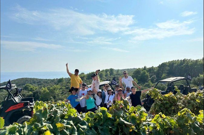 Korcula Buggy Safari Tour: Beaches, Backroads & Wine Tastings