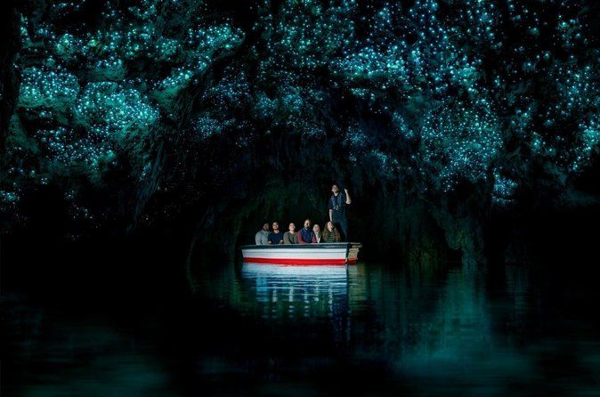 Auckland to Rotorua via Waitomo Caves Small Group Tour (One Way)