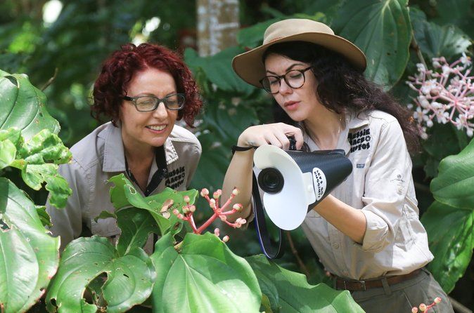 Cairns Botanic Gardens: Morning Nature & Wildlife Walk w/photos