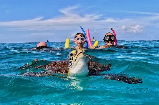 Turtle Snorkeling Tour in Tres Trapi, Aruba