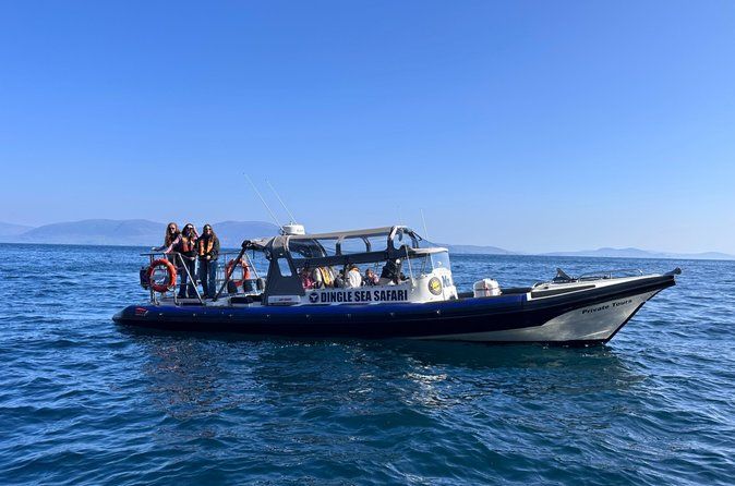 VIP Private hire bespoke Dingle Sea Safari rib tour