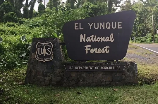 The Royal Rainforest An Exclusive Extreme Experience El Yunque