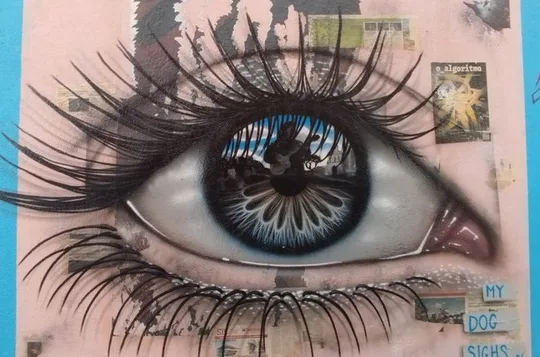 Discover Lisbon's Best Street Art with an Street Artist (Mr.Red)