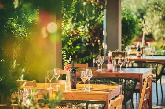 Pervino Wine Experience: Discover the Taste of Istria