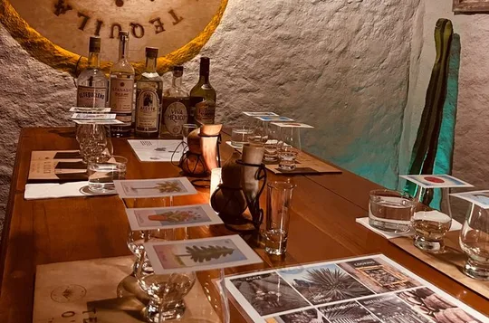 Tequila Tasting Experience