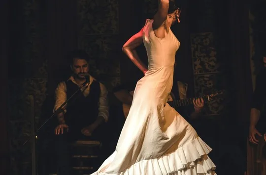 Skip the line: Tablao Flamenco Andalusí Ticket