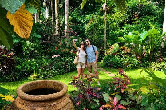 Taste of Barbados Full-Day Sightseeing tour