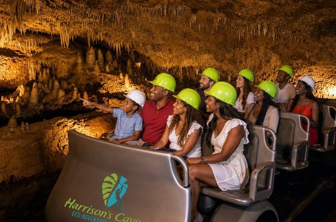 Half-Day Barbados Tour Harrisons Cave Hunte's Garden and Bathsheba